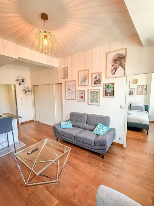 Belle Vue A Saint-cyprien-parking-hyper Centre Appartement Toulouse